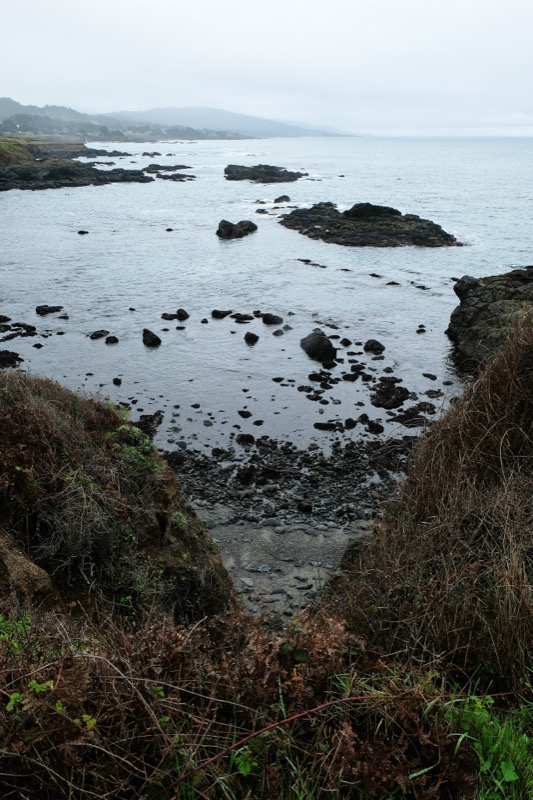 Sea Ranch