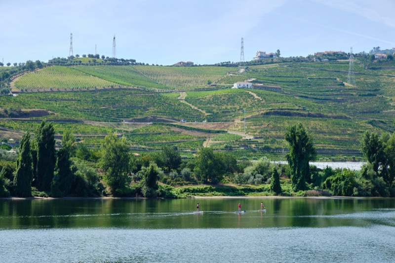 Douro River Cruise