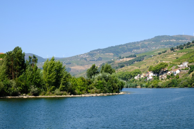 Douro River Cruise