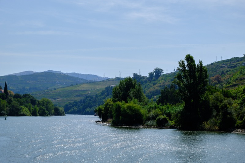 Douro River Cruise
