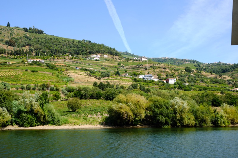Douro River Cruise