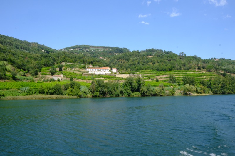 Douro River Cruise