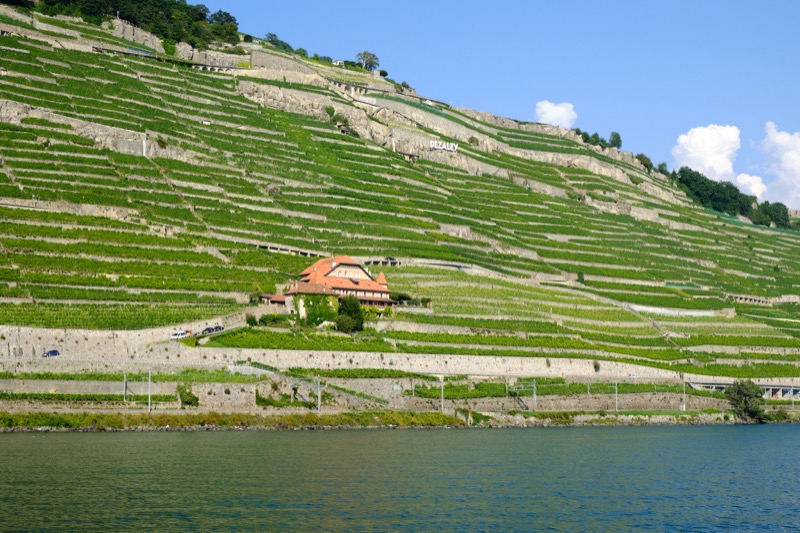 Lac Leman and Chillon Castle