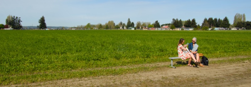 Skagit