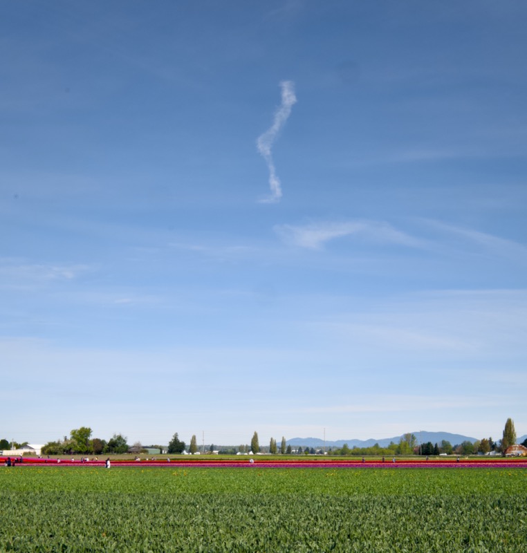 Skagit