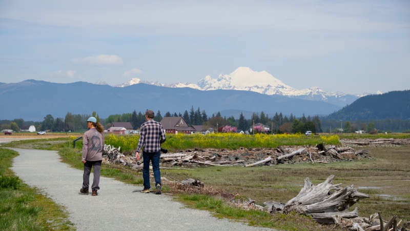 Skagit
