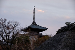 Kyoto-2025-176