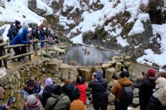 Shibu-Onsen-2025-192