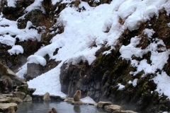 Shibu-Onsen-2025-194