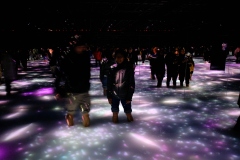 Teamlab-Tokyo-2025-117