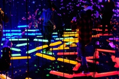 Teamlab-Tokyo-2025-120