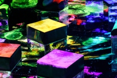 Teamlab-Tokyo-2025-123