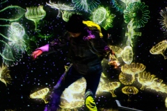 Teamlab-Tokyo-2025-124