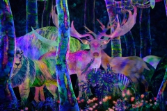 Teamlab-Tokyo-2025-128