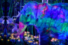 Teamlab-Tokyo-2025-129