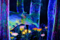 Teamlab-Tokyo-2025-130