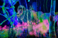 Teamlab-Tokyo-2025-133