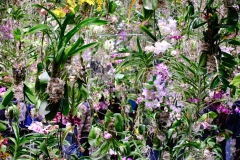 Teamlab-Tokyo-2025-134