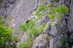 Ha-Long-Bay-2025-HK-24