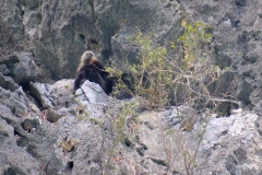 Ha-Long-Bay-2025-HK-28