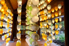 Ninh-Binh-2025-HK-50